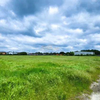 12.490m² UNBEBAUTES BETRIEBSBAUGRUND - Bild 2