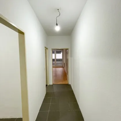 1-Zimmer Wohnung mit Loggia in Purkersdorf zu vermieten - Bild 3