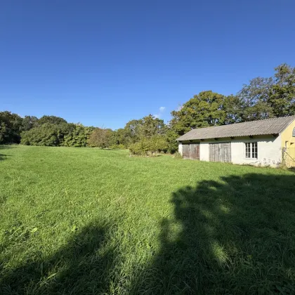 PROVISIONSFREI - GROSSES GRÜNLAND GRUNDSTÜCK MIT BESTANDSHAUS - ANLAGE - Bild 2