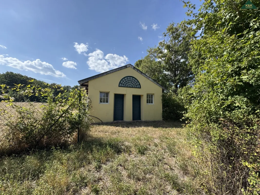 PROVISIONSFREI - GROSSES GRÜNLAND GRUNDSTÜCK MIT BESTANDSHAUS - ANLAGE - Bild 1