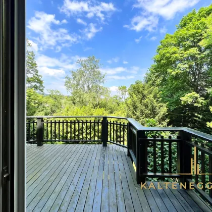 Perchtoldsdorf: Geräumige Jugendstil-Villa mit Terrasse und idyllischem Garten (Video) - Bild 2