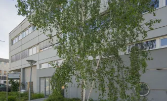 + + + ATTRAKTIVES BÜROHAUS + + + ca. 2.100 m² + + + NÄHE LIEBLGASSE + + +