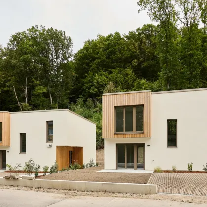 SAGENHAFT - Nachhaltige Massivholz-Einfamilienhäuser - Bild 3