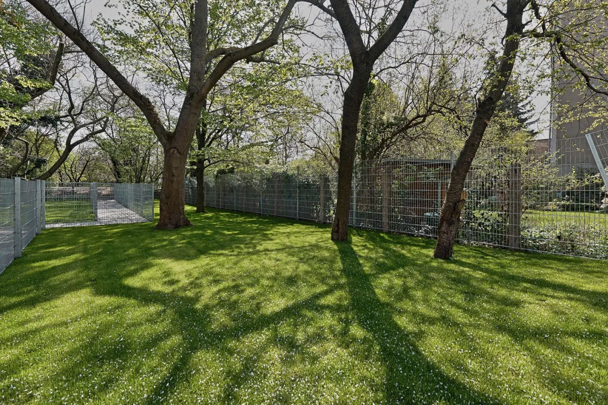 3 ZIMMER-GARTENWOHNUNG+GROßEN LAGERRAUM DIREKT AN DER LIESING MIT BAUMBESTAND - Bild 1