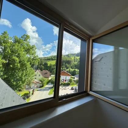 Barrierefreie Erstbezugswohnung- Penthaus - Bild 3