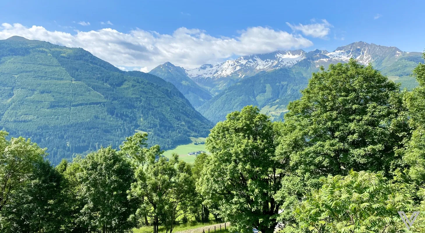 Grundstück in sonniger Traumlage - Bild 1