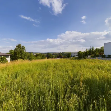 Tauchen Sie ein im Waldviertel: ZWETTL - Grundstück mit Grünblick ab 859 m² - AUFGESCHLOSSEN - Bild 3