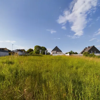 Tauchen Sie ein im Waldviertel: ZWETTL - Grundstück mit Grünblick ab 859 m² - AUFGESCHLOSSEN - Bild 2