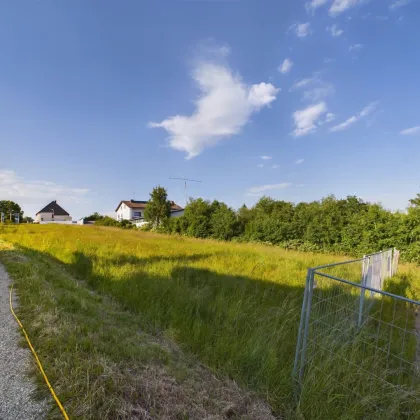 Tauchen Sie ein im Waldviertel: ZWETTL - Grundstück mit Grünblick ab 804 m² - AUFGESCHLOSSEN - Bild 3