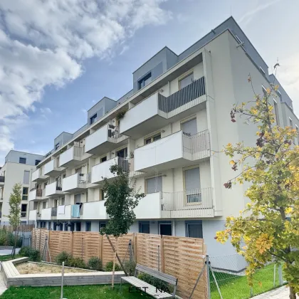Wohnung perfekt für Pärchen mit Freifläche - Nähe Kagraner Platz - Bild 2