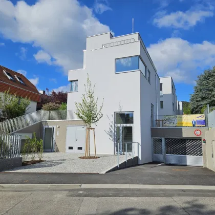 Mödling - Erstbezug - Garten - Bild 3