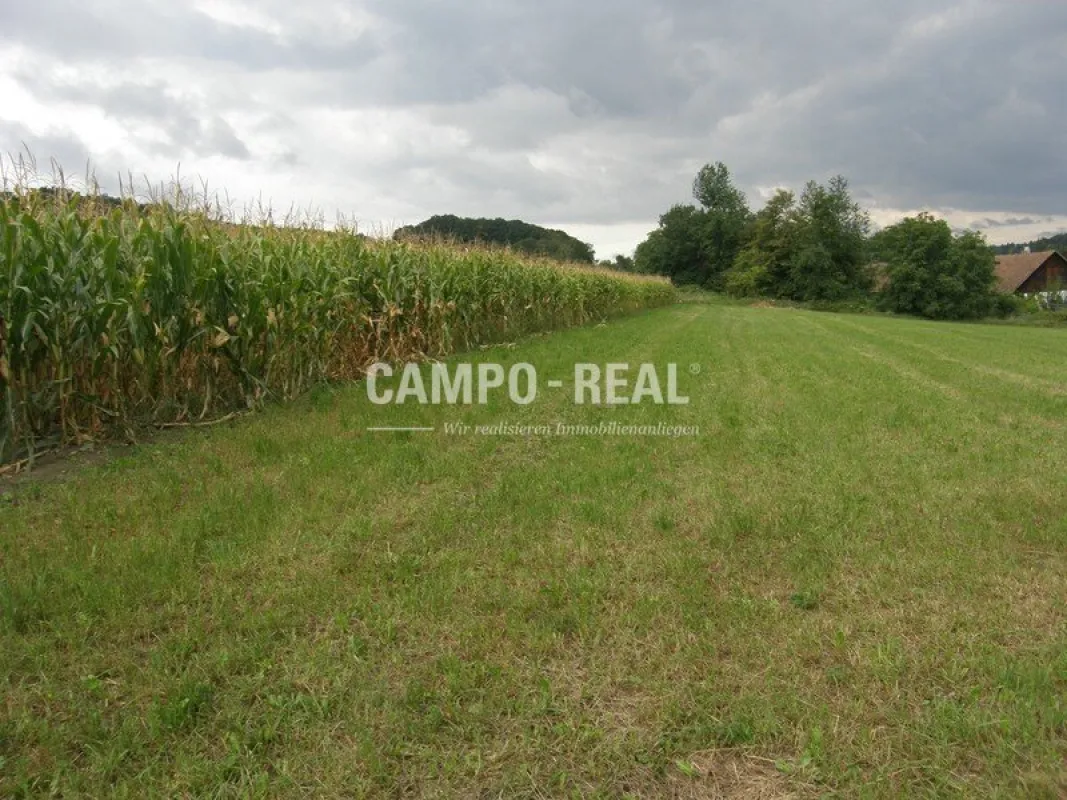 LANDWIRTSCHAFT: Bauernhof mit ca. 13 ha Acker - Wienerwaldregion - Bild 1