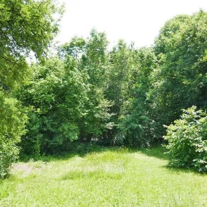 Bauträgergrundstück mit Altbestand in Traumaussichtslage in Gablitz - Bild 2