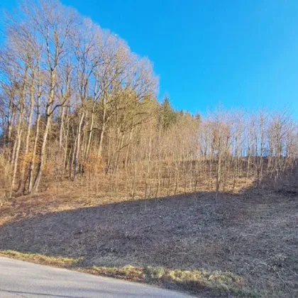 Sonniges Baugrundstück auf Südwest-Hang im Irenental - Bild 2