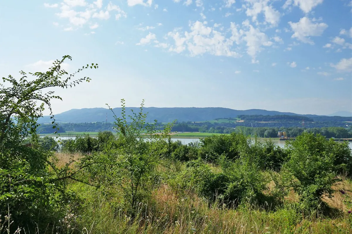 Baugrund an der Donau bei Melk mit Traumausblick bis zum Ötscher - Bild 1