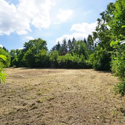 Baugrundstück mit Ausblick in zentraler Ruhelage in Pressbaum - Bild 3