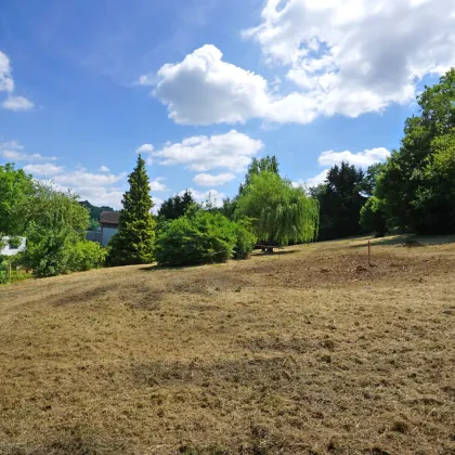 Baugrundstück mit Ausblick in zentraler Ruhelage in Pressbaum - Bild 2