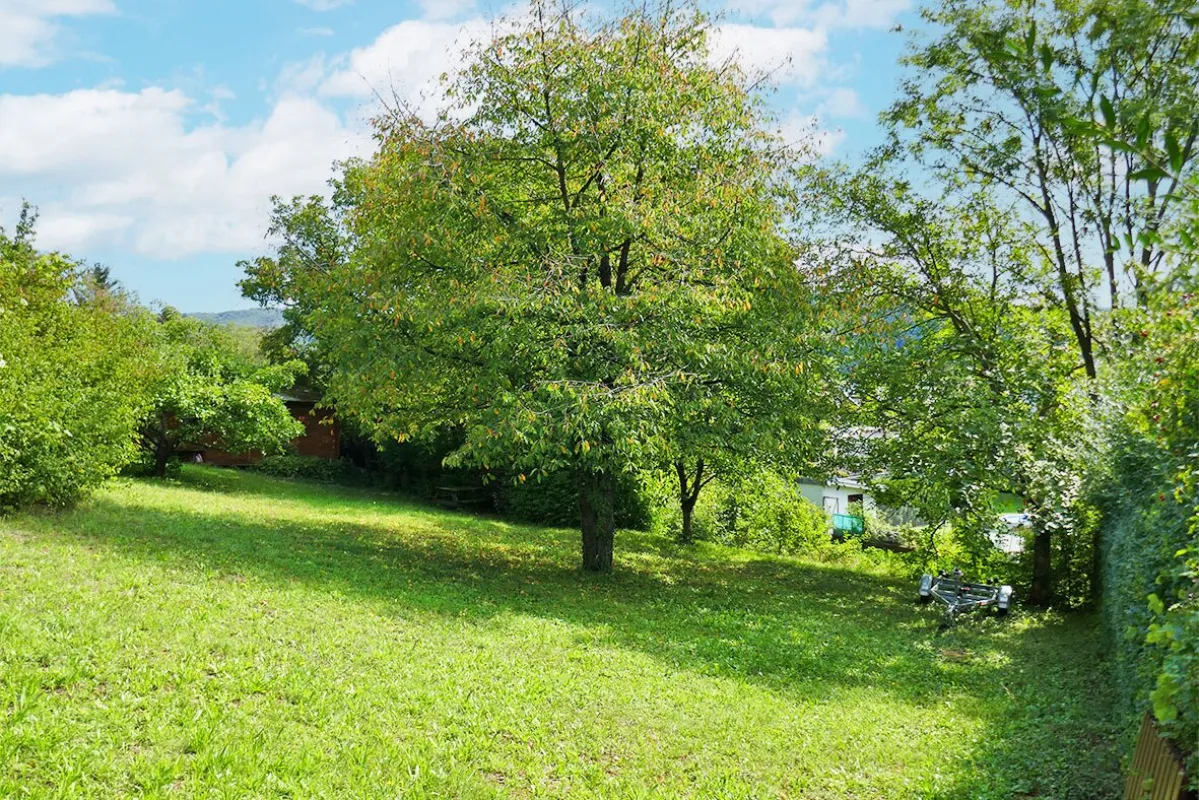 Baugrund auf leichtem Südhang in idyllischer Lage in Tulln-Nähe - Bild 1