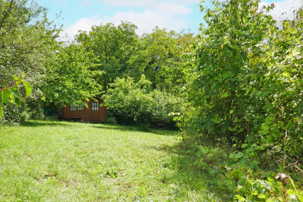 Baugrundstück in idyllischer Lage auf leichtem Südhang in Tulln-Nähe - Bild 1