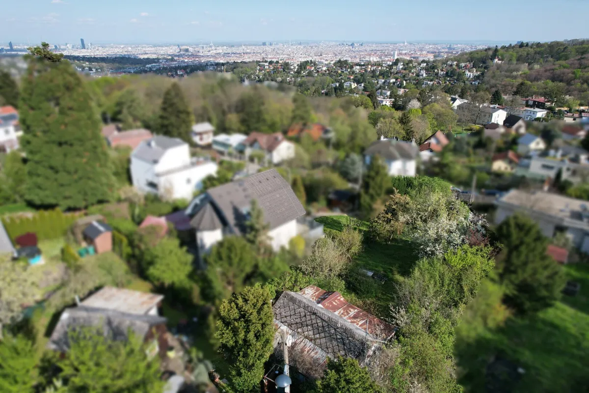 Rarität! Grundstück mit traumhaftem, unverbaubarem Wienblick am Heuberg - Bild 1