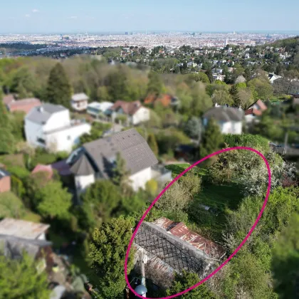 Rarität! Grundstück mit traumhaftem, unverbaubarem Wienblick am Heuberg - Bild 3