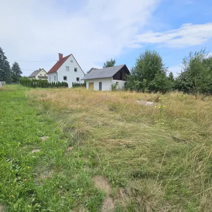 Ruhelage! Wunderschöne, sonnige Grundstücke in Lieboch! Baubeginn sofort möglich! - Bild 3
