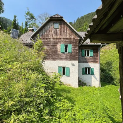 123 ha Eigenjagd in Bruck-Kapfenberg - Bild 2