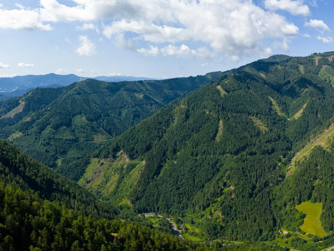 123 ha Eigenjagd in Bruck-Kapfenberg - Bild 1