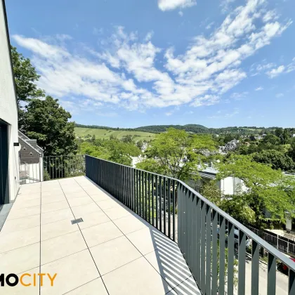 Neuer Preis! Wohntraum (Top 6) 4-Zimmerwohnung + 32,71 m² Balkon, Erstbezug, Erstklassige Ausstattung, Neubau, luxuriös + Garage - Bild 3