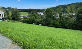Raus auf´s Land!