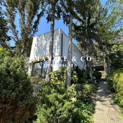 SONNIGES HAUS BEIM PÖTZLEINSDORFER SCHLOSSPARK - Bild 3