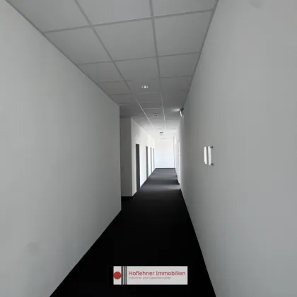 Moderne Büros in 1230 Wien - Verschiedene Größen -  Nähe Autobahn A23 - Bild 3