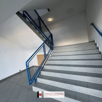 Modernes Büro ca. 409 m² | 2. OG - Bild 3