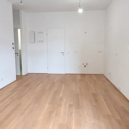 Willkommen beim Projekt Wildgarten - Ihrem exklusiven Zuhause im Herzen des 12. Bezirks! - Bild 3