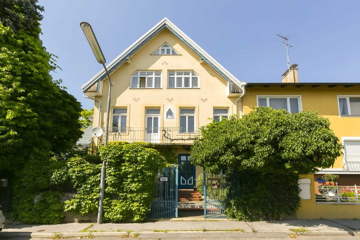 Friedenszeile - repräsentative Jugendstilvilla mit traumhaftem Garten - Bild 1