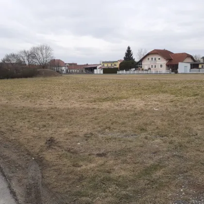 Mehr als ein Haus – ein Gefühl von Heimat - Bild 2
