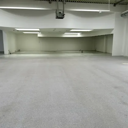 Große Gewerbefläche im FMZ Auhof zu vermieten - Bild 3