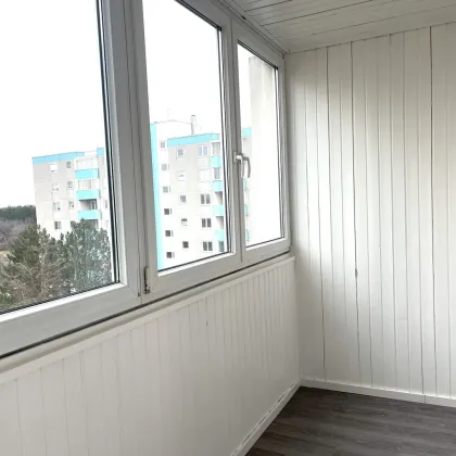 Helle, renovierte 2-Zimmer-Wohnung mit Loggia im 5. Liftstock in Baden - Bild 3