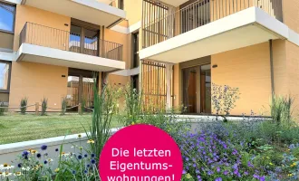 Herzlich willkommen zum Projekt WILDGARTEN