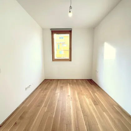 Herzlich willkommen zum Projekt WILDGARTEN - Bild 3