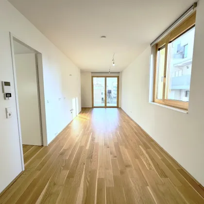 Herzlich willkommen zum Projekt WILDGARTEN - Bild 2