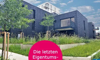 Herzlich willkommen zum Projekt WILDGARTEN