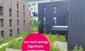 Herzlich willkommen zum Projekt WILDGARTEN