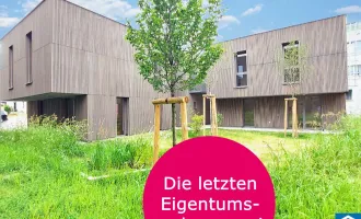 Herzlich willkommen zum Projekt WILDGARTEN