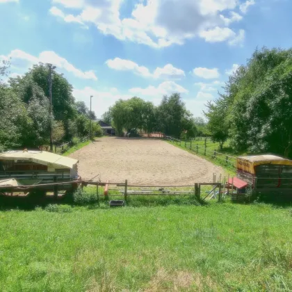 Pferdeparadies mit umfangreicher Infrastruktur und vielseitigen Nutzungsmöglichkeiten - Bild 2