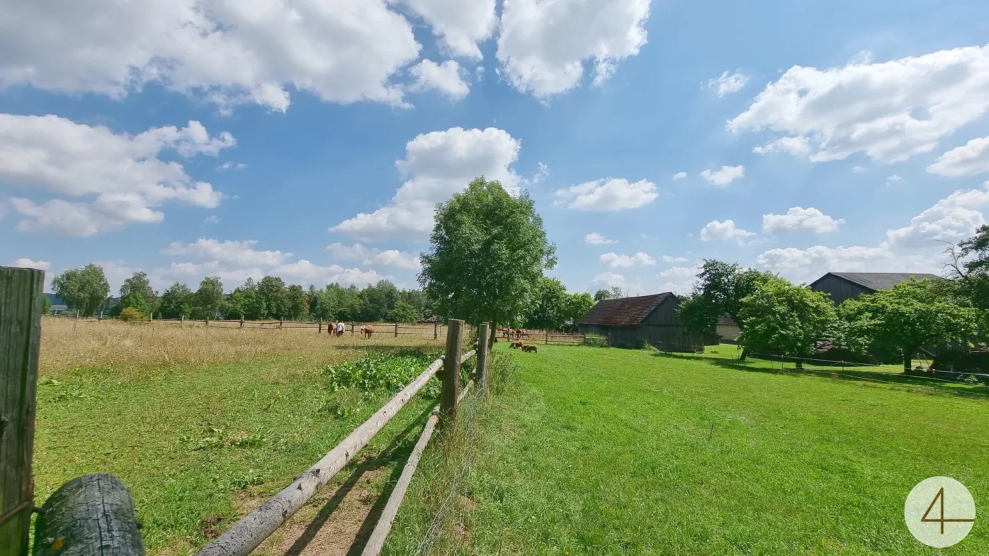 Pferdeparadies mit umfangreicher Infrastruktur und vielseitigen Nutzungsmöglichkeiten - Bild 1