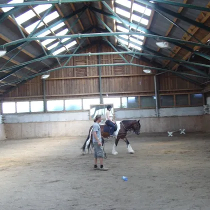 Pferdeparadies mit umfangreicher Infrastruktur und vielseitigen Nutzungsmöglichkeiten - Bild 3