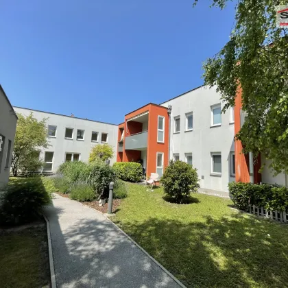 1-Zimmer Wohnung im Betreuten Wohnen - Bild 2