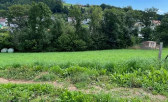 "Herrlicher Baugrund"