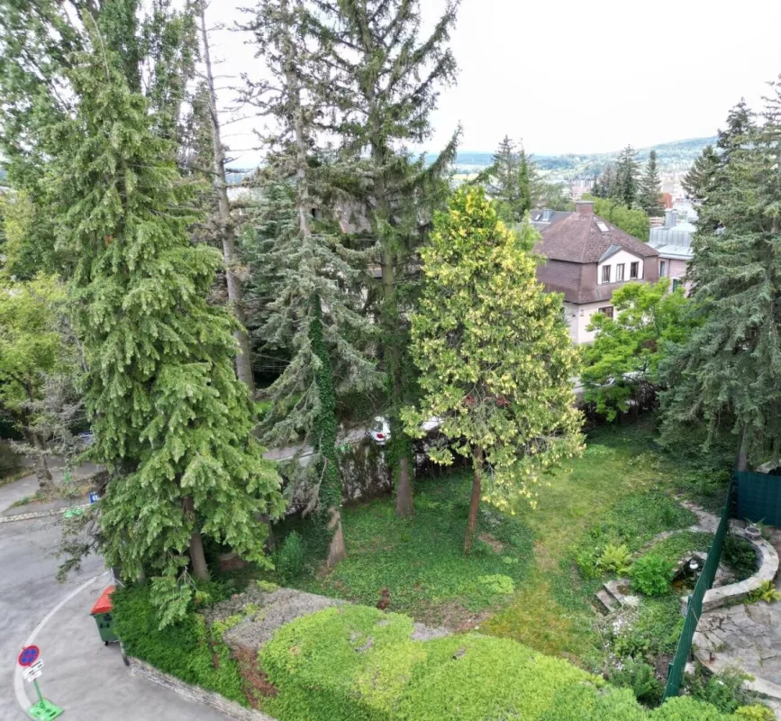 Baugründstück für Familientraum mit Planungsvorschlag - Bild 1